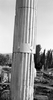 Column (1976)