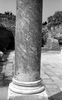 Column (1983)