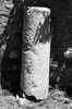 Column (1985)