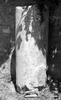 i. Column (1985)